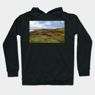 Torver Back Common Hoodie